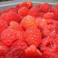 Beneficios de los frutos rojos 4